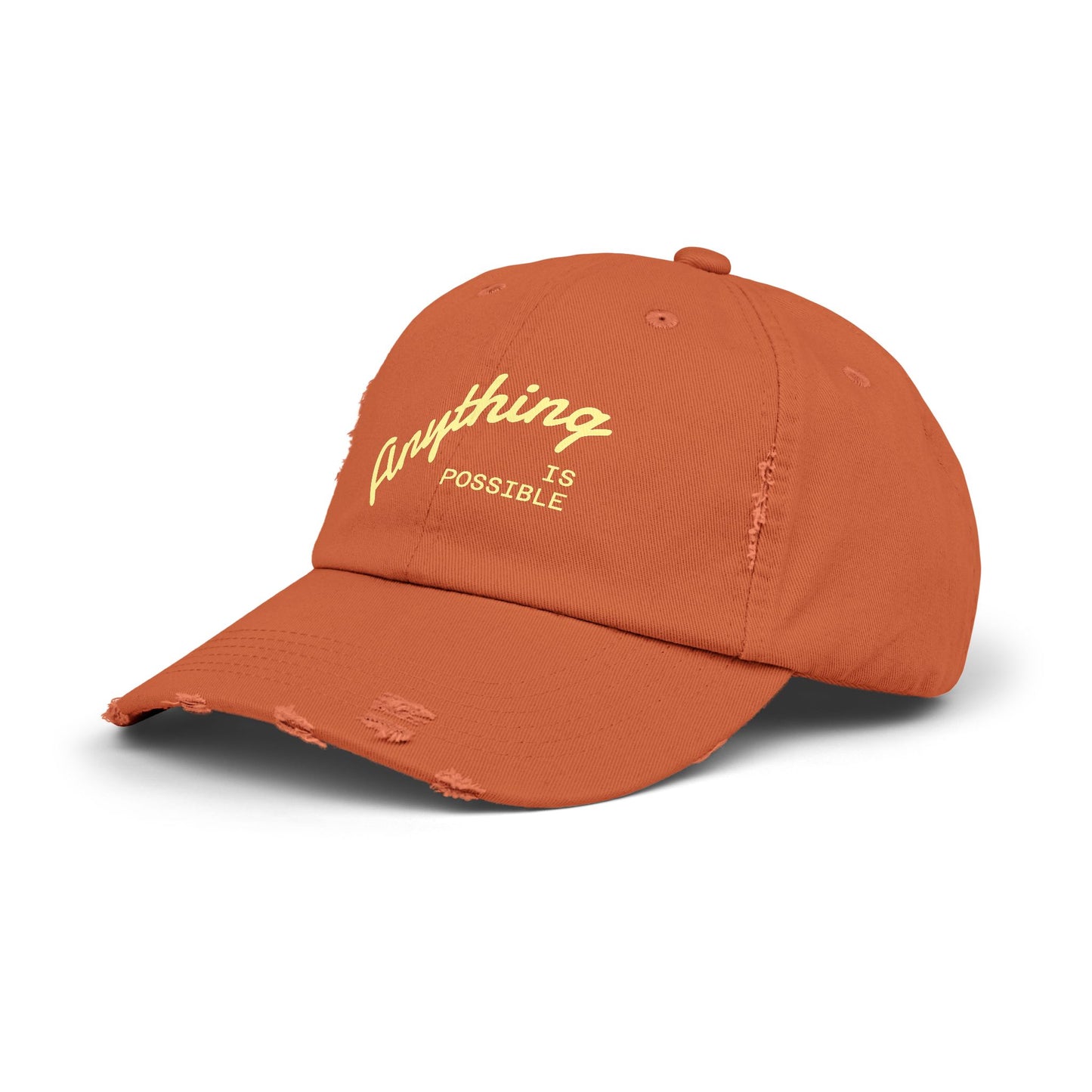 Anything Is Possible, Sunshine Theory Distressed Cap